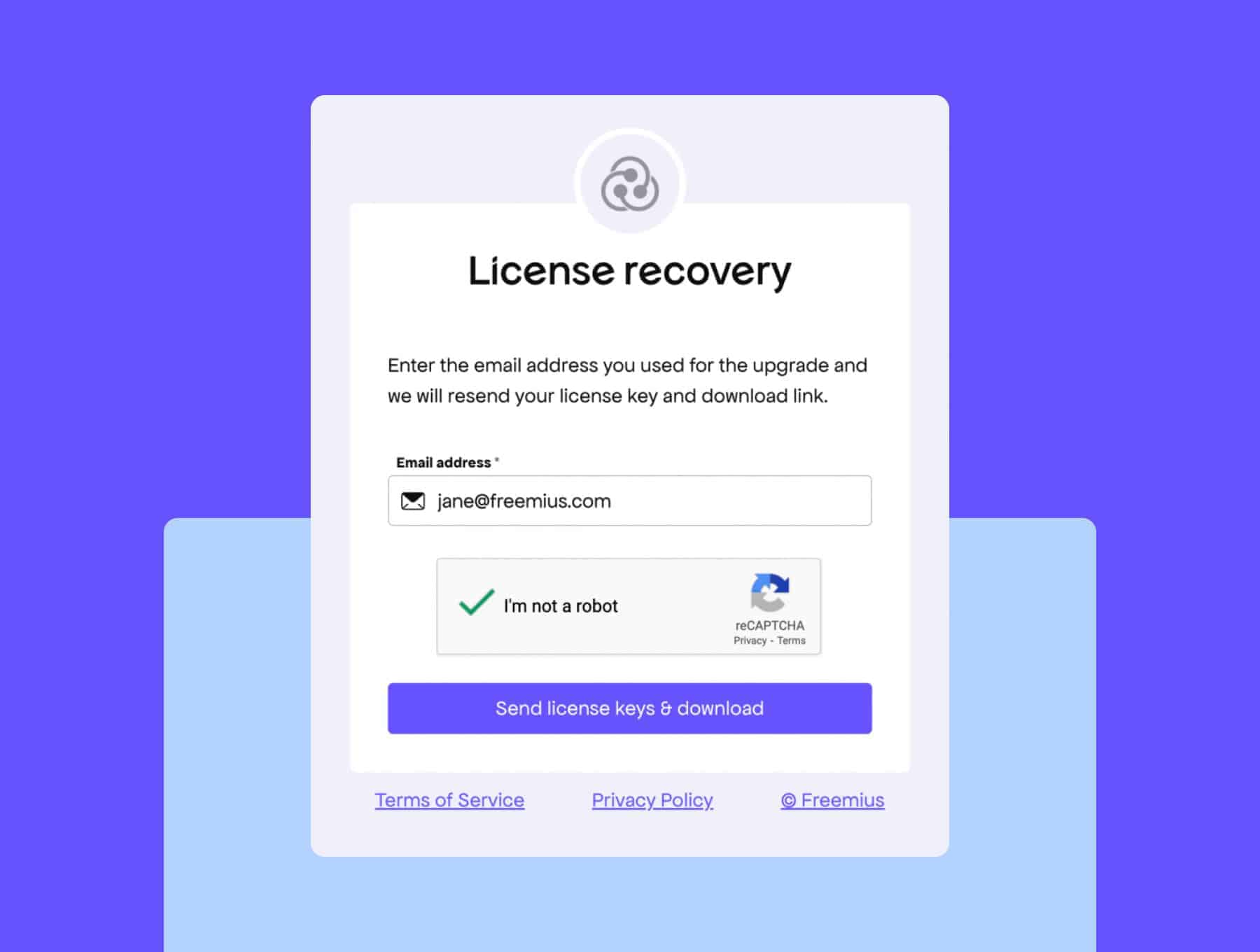 Redesigned license recovery tool
